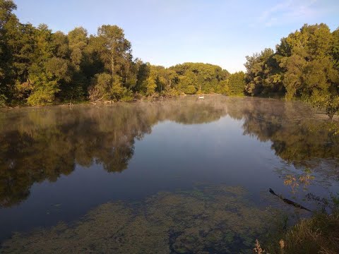 Видео: Подводная охота Псёл 2019