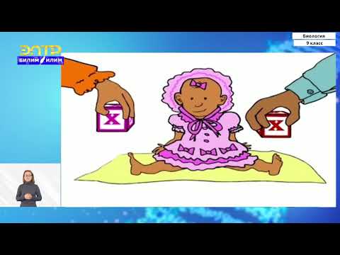 Видео: 9-класс | Биология | Наследование признаков у организмов.