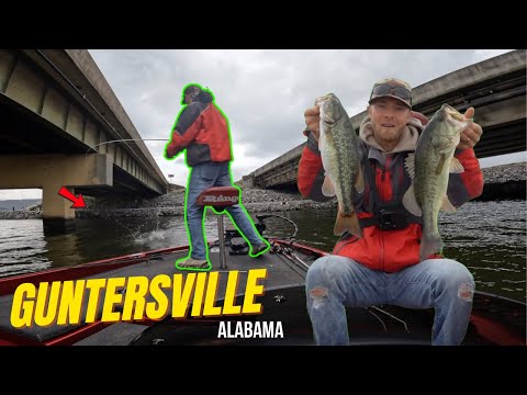 Видео: Ловля окуня на озере Гантерсвилль, 7 октября 2025 г.