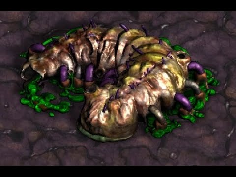 Видео: Lore of Starcraft #12. Церебралы.