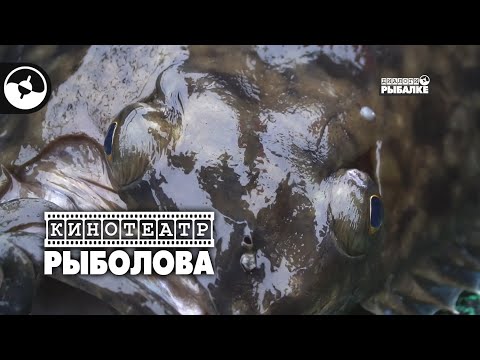 Видео: Рыбалка на Курилах. Лосось и палтус | Кинотеатр рыболова