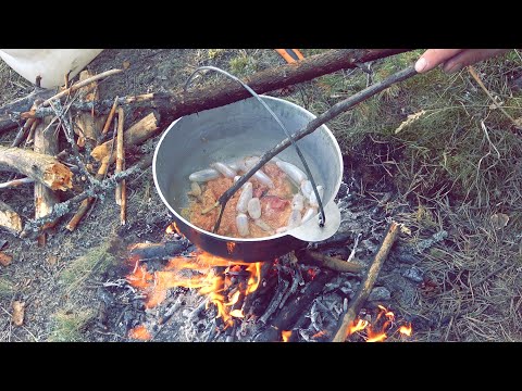 Видео: Что поймал, то и съел. Весновка на острове.