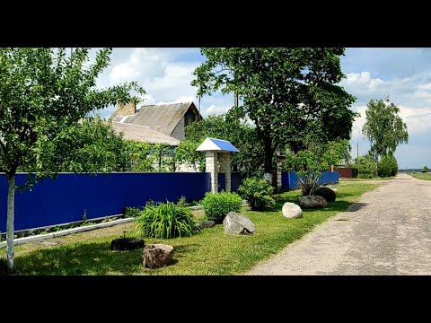 Видео: Подворье Татьяны Мартыновны в белорусской деревне, где ещё держат животных.