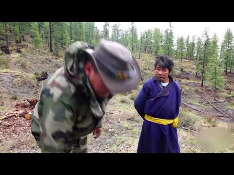 Видео: Таслагдсан хүмүүс. Хүний нийгмийн үйлчилгээнээс гадуур.