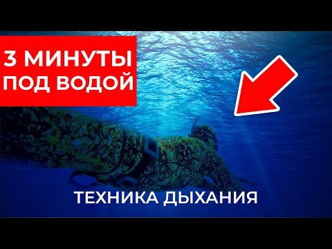 Видео: Как увеличить ЗАДЕРЖКУ ДЫХАНИЯ под водой? Выполняй эти упражнения не выходя из дома!