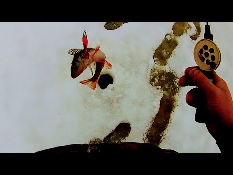 Видео: Открытие зимней рыбалки 2021. Рыбалка на озере.Ловля окуня.
