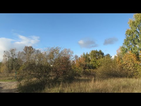 Видео: Осенние зарисовки с Днепровских Островов. 14 октября
