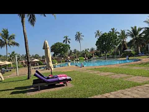 Видео: Шри-Ланка, отель CLUB Hotel Dolphin 4*, март 2025