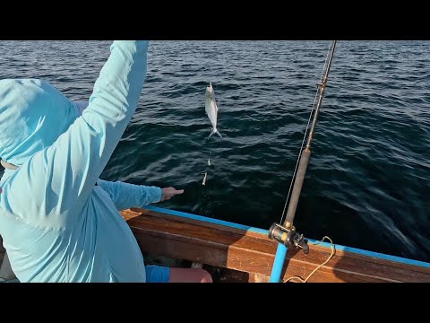 Видео: Рыбалка в Андаманском море.