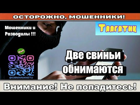 Видео: Мошенники звонят по телефону / Две свиньи обнимаются ( сборник ).