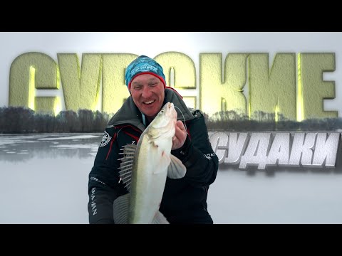 Видео: СУДАКИ оторвали 6 УЛОВИСТЫХ балансиров. Поиск ХИЩНИКА с помощью ЖЕРЛИЦ