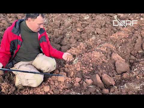 Видео: Поле после вспашки в Оренбургской области - вместе с экспертом DORF