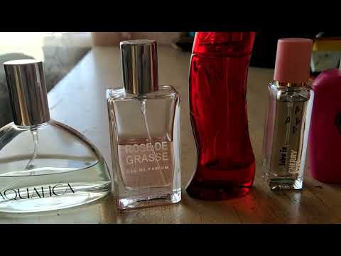 Видео: 13 сентября 2025 г.