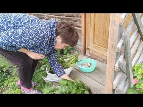 Видео: Рецепт компресса/Вот это да! Надя дала мне такой красоты👍🎉 Жизнь на пенсии в ДЕРЕВНЕ 🤗