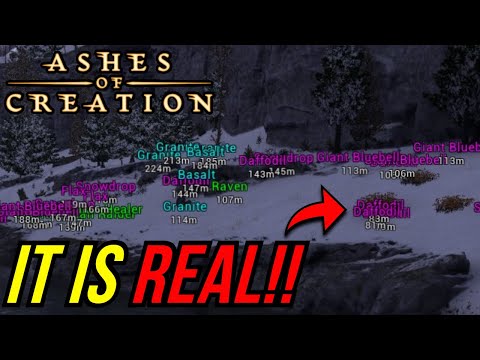 Видео: ИСТИННЫЙ ЭКСПЛУАТ Экономики Ashes of Creation