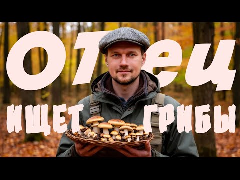 Видео: Опята и Зонтики | ОТец ищет грибы | 02.10.25г