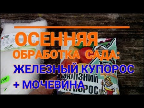 Видео: 🍁📌ОСЕННЯЯ ОБРАБОТКА САДА МОЧЕВИНОЙ И ЖЕЛЕЗНЫМ КУПОРОСОМ