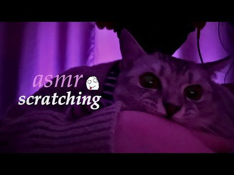Видео: асмр скретчинг одежды🐈‍⬛;;;asmr scratching clothes🐈‍⬛