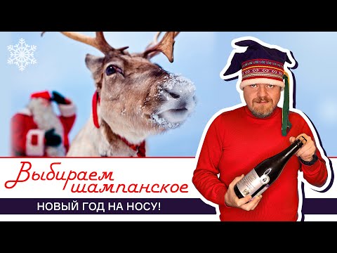 Видео: Новый год и шампанское! Как выбрать игристое вино к новогоднему столу. Встречаем Новый год правильно