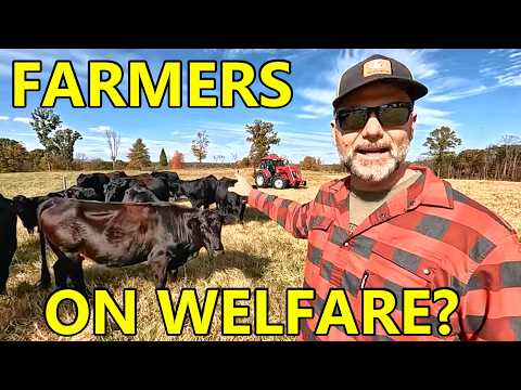 Видео: Американские фермеры УСТАЛИ! НИКАКИХ ЧЕКОВ ПОСОБИЯ! Давайте зарабатывать на ЧЕСТНУЮ ЖИЗНЬ!