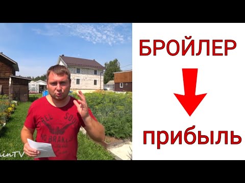 Видео: Себестоимость бройлера. Содержание бройлера - выгодно.