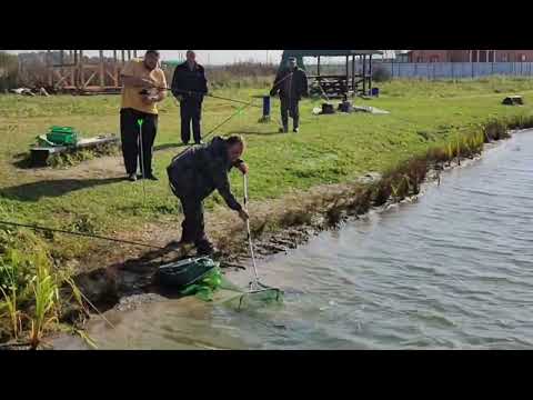 Видео: 28 сентября 2024 г.