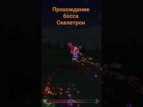 Видео: прохождение босса в террарии Скелетрон #phonk #terraria #скелетрон