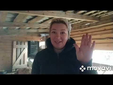 Видео: Причины завести козу . Или отказаться он нее.