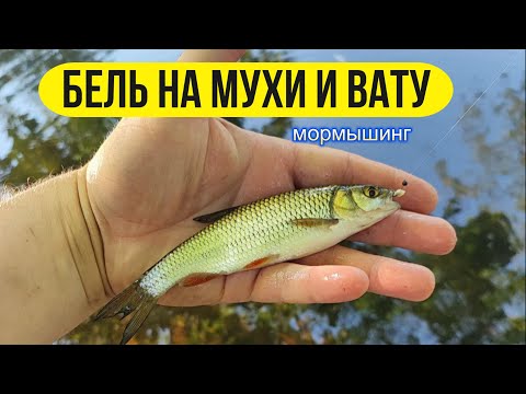 Видео: #мормышинг | Леска или шнур в мормо? | Мухи, вата |