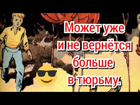 Видео: Зарабатывать деньги честным путем Миша не умел, как и подчиняться любому виду руководства