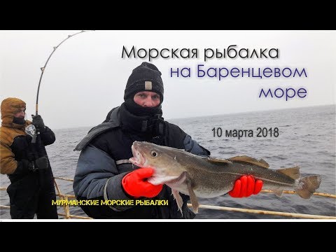 Видео: Морская рыбалка на Баренцевом море. Ура-губа. 10.03.2018г.
