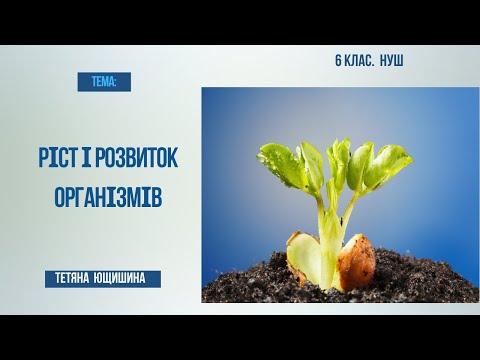 Видео: Урок 31. Ріст і розвиток організмів. 6 клас. НУШ