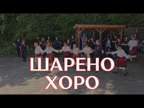 Видео: Шарено хоро - Автентично