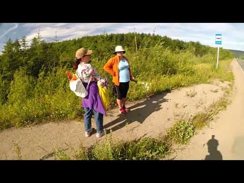 Видео: ч. 3 Магадан. Возвращение в город. Горошка.  26 июля 2025 г.