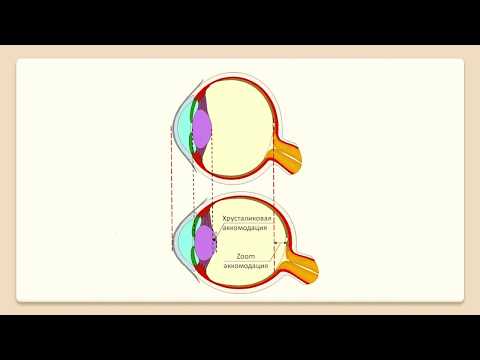Видео: #1 как работает глаз человека. Аккомодация глаза