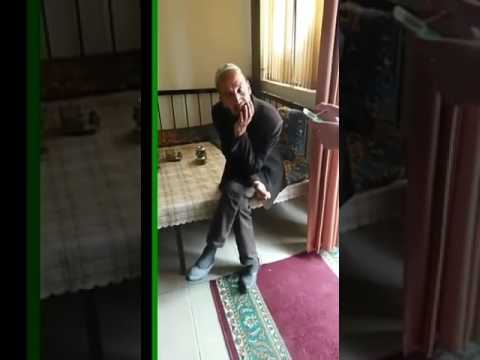 Видео: Чибаки