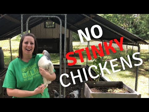 Видео: Никаких вонючих кур! Уход за курятником на заднем дворе (с дополнительными советами)