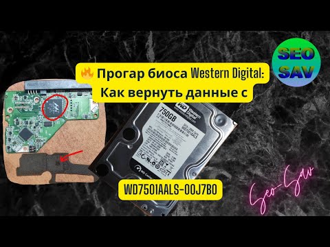 Видео: 🔥 Прогар биоса Western Digital: Как вернуть данные с WD7501AALS-00J7B0