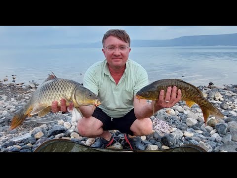 Видео: Открытие сезона 2024. Кинерет. Израиль.