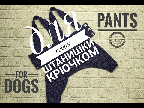 Видео: Штанишки для собак и кошек, вязание крючком Crochetted pants for dogs and cats, DIY