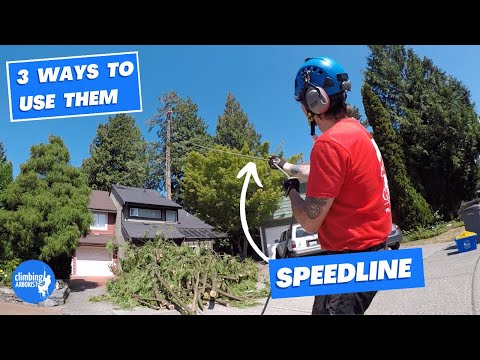 Видео: SPEEDLINE: 3 различных метода для облегчения работы с деревом