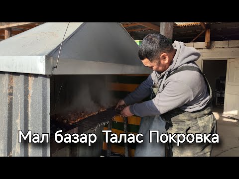 Видео: Мал базар Талас Покровка 10 Октябрь 2025
