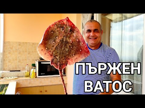 Видео: ПЪРЖЕН ВАТОС (МОРСКА ЛИСИЦА)! ДЪННА РИБА С НЕ ЛОШ ВКУС И ХРУЩЯЛНИ КОСТИ! НЯМА ОТРОВЕН ШИП! БЕЗОПАСНА