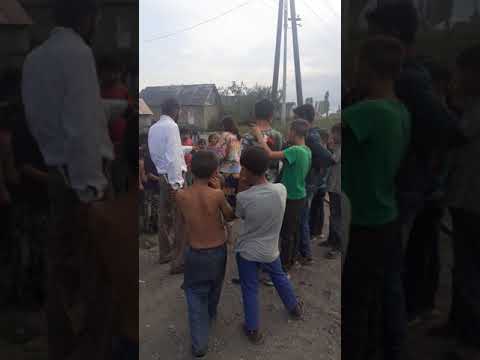 Видео: Богар руба и луцу