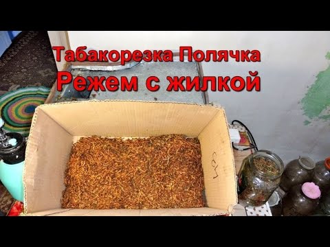 Видео: Табакорезка - Полячка : режем лист с жилкой.