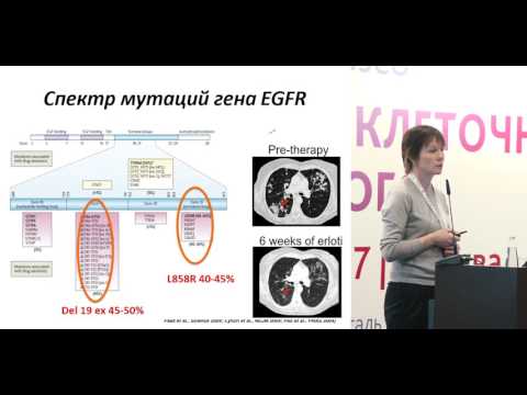 Видео: Молекулярно-генетическое исследование на основе малого морфологического материала