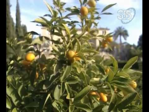 Видео: Замки Франции. Фложерг.