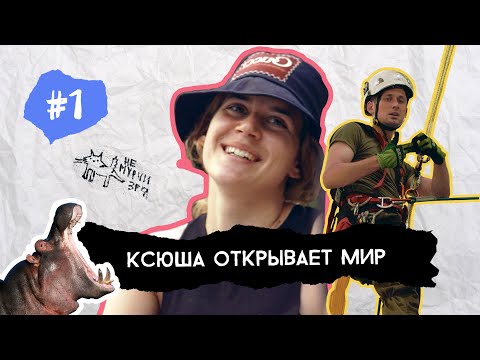 Видео: За что сажают садовников, почему умирают деревья и чем плохи газоны? I Ксюша открывает мир #1