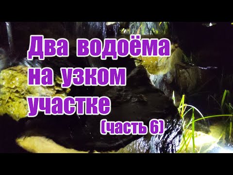 Видео: Два водоёма на узком участке (часть6)