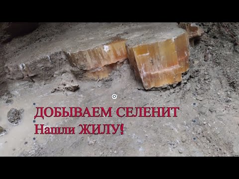 Видео: Добываем СЕЛЕНИТ. Нашли ЖИЛУ!